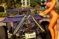 int025 coverbuggy